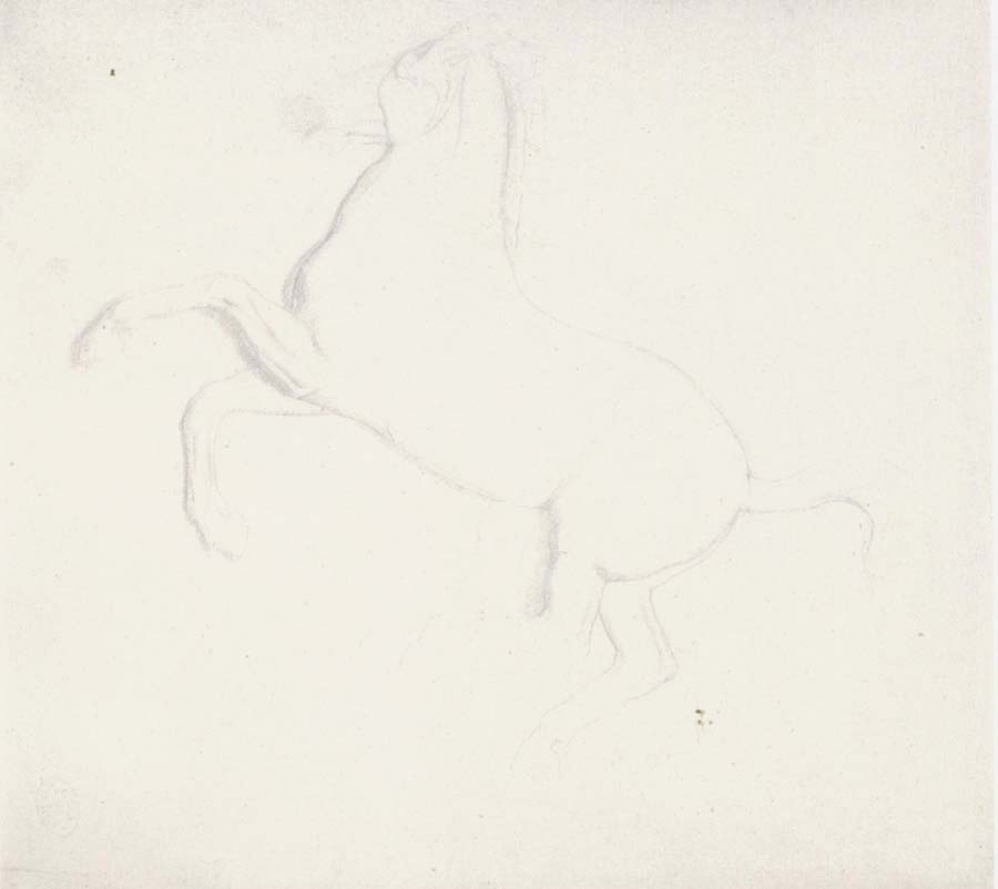 Edgar Degas Study of a Horse from the Parthenon Frieze